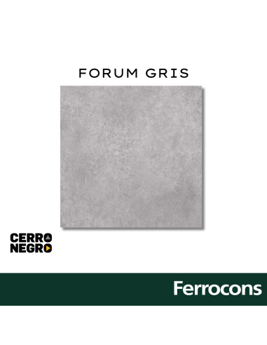 CERRO NEGRO FORUM GRIS  615X615 M2
