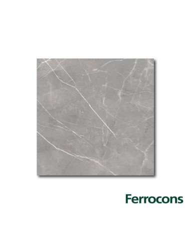 CERRO NEGRO 1RA PARIS BRILL GRIS 51X51 X M2