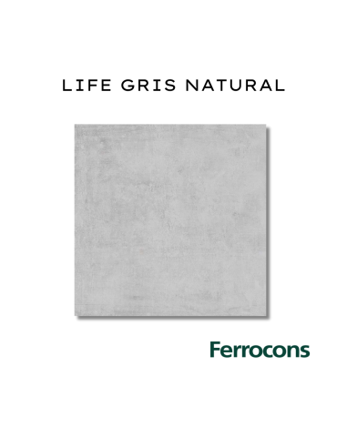 CCN LIFE NAT.RECT.GRIS 59X59 /M2