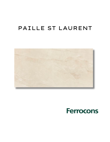 -BF-PORTOBELLO PAILLE ST LAURENT 60X120 PUL RECT M2