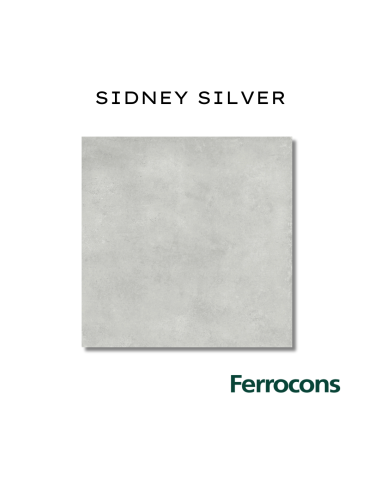 CCN SIDNEY NATURAL SILVER  61X61 R M2 - PORC RECT