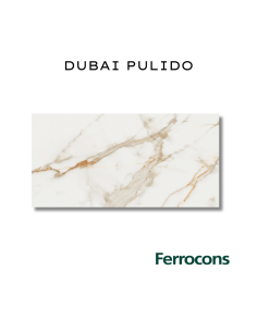 PORCELLANATO DUBAI 58X117 - CERRO NEGRO