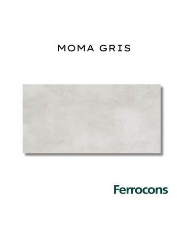 CCN PORC.NAT.RECT. MOMA GRIS 58X117