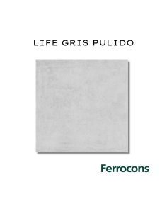CCN LIFE GRIS PUL.RECT. 58X58 /M2
