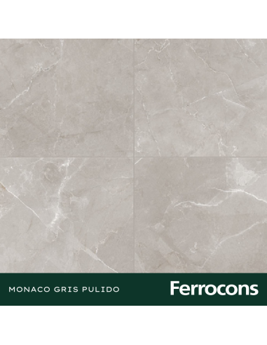 CCN MONACO GRIS PUL.RECT. 58X58 /M2