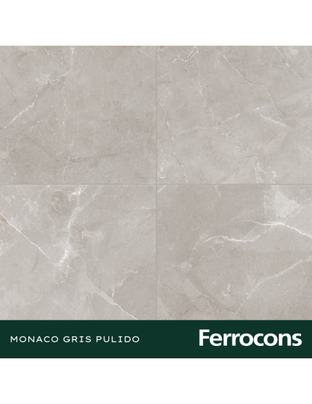 CCN MONACO GRIS PUL.RECT. 58X58 /M2
