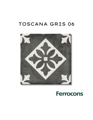 COLORES SOLIDOS DECORADO TOSCANA GRIS 06S PISO-PARED 20X20