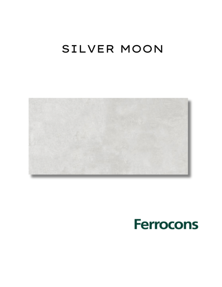 TENDENZA SILVERMOON NAT 60X120 PORCELANICO REC