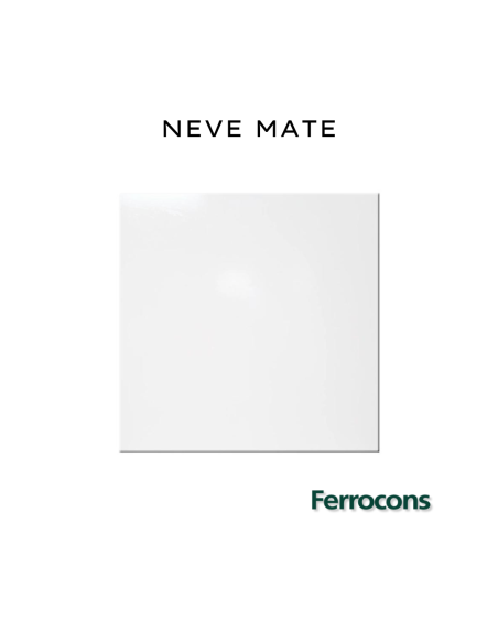 SEGUNDA CERRO NEGRO NEVE MATE 38X38