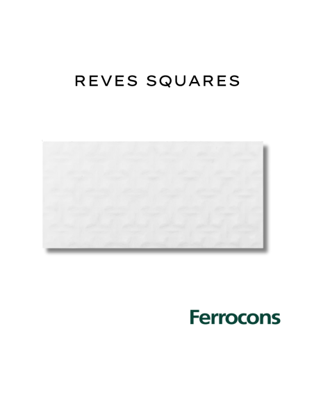 TENDENZA REVES SQUARES 30X62 CERAM REC